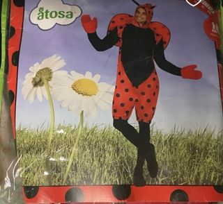 Disfraz adulto