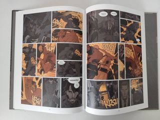 JAZZ MAYNARD # 1-2 - RAULE Y ROGER