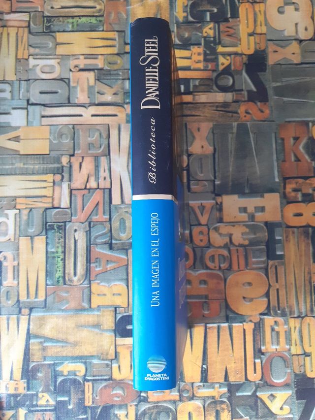 Una Imagen En El Espejo. Autora: Danielle Steel.