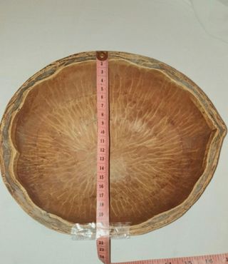 Ciotola a forma di guscio di noce