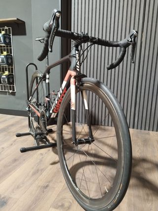 Giant TCR Team SUNWEB 2019