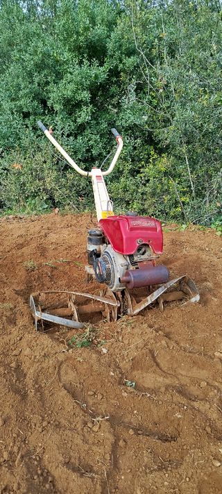 Motocultor Mollon 2 tiempos