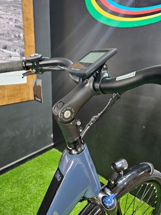 Coluer Greenland electrica