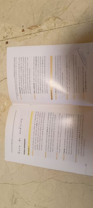 Mozart Sinfonia KV364 guia de audición