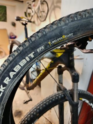 Coppia copertoni tubeless da 29