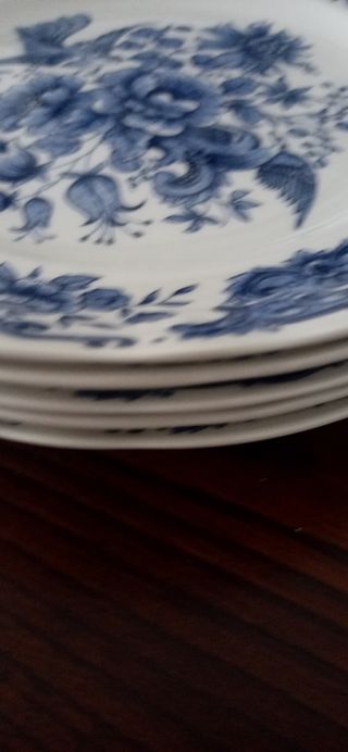 Platos llanos antiguos  Pontesa.