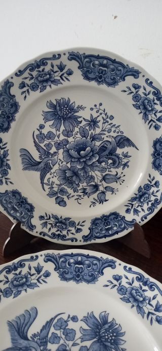 Platos llanos antiguos  Pontesa.