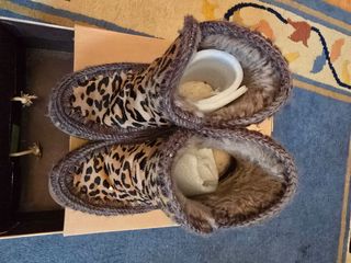 Botas Mou con cuña animal print