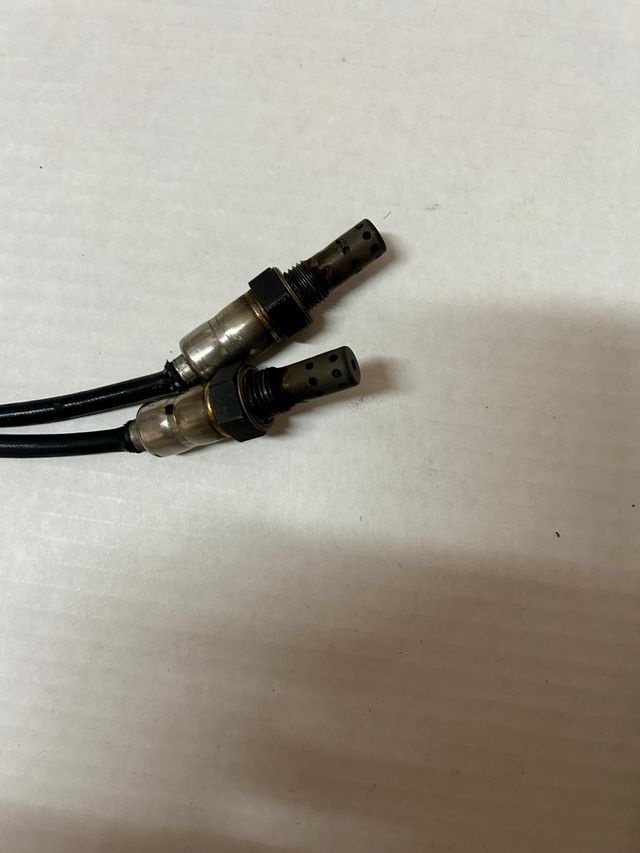 Sonde lambda triumph bonneville t100