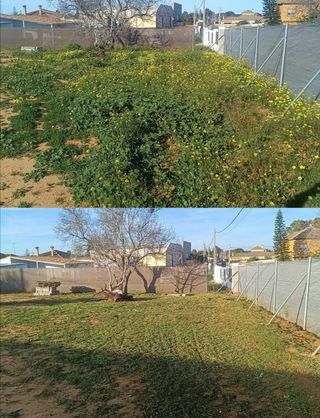 Jardinero todos los servicios