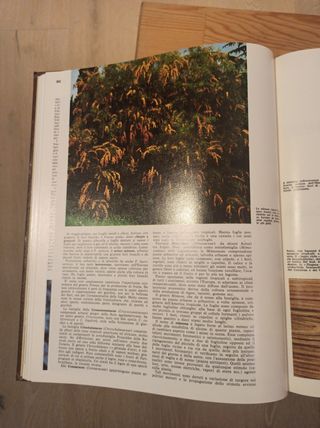 Enciclopedia delle scienze in 24 volumi