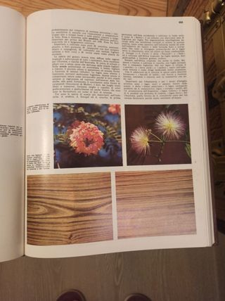 Enciclopedia delle scienze in 24 volumi