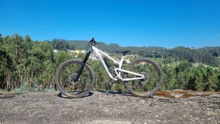 Propain Tyee AL5 29 Custom