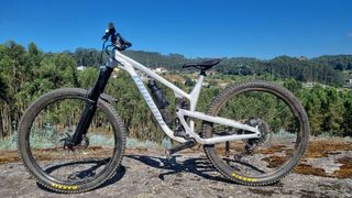 Propain Tyee AL5 29 Custom