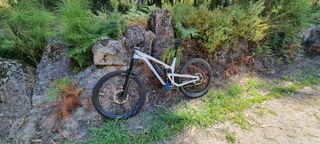 Propain Tyee AL5 29 Custom