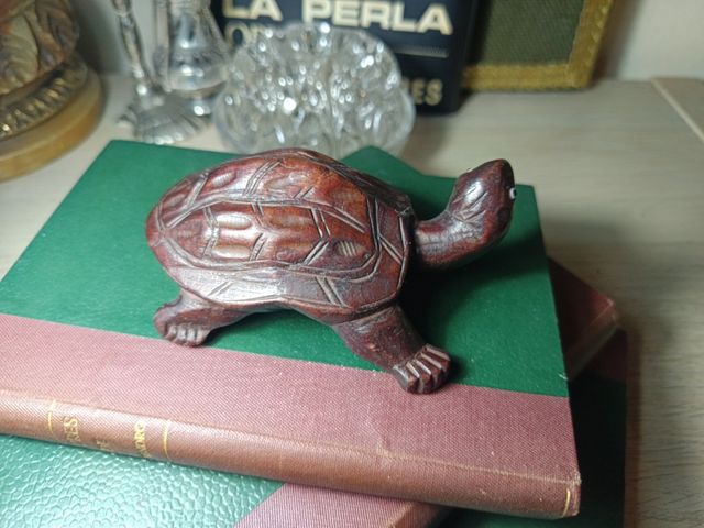 Talla de tortuga