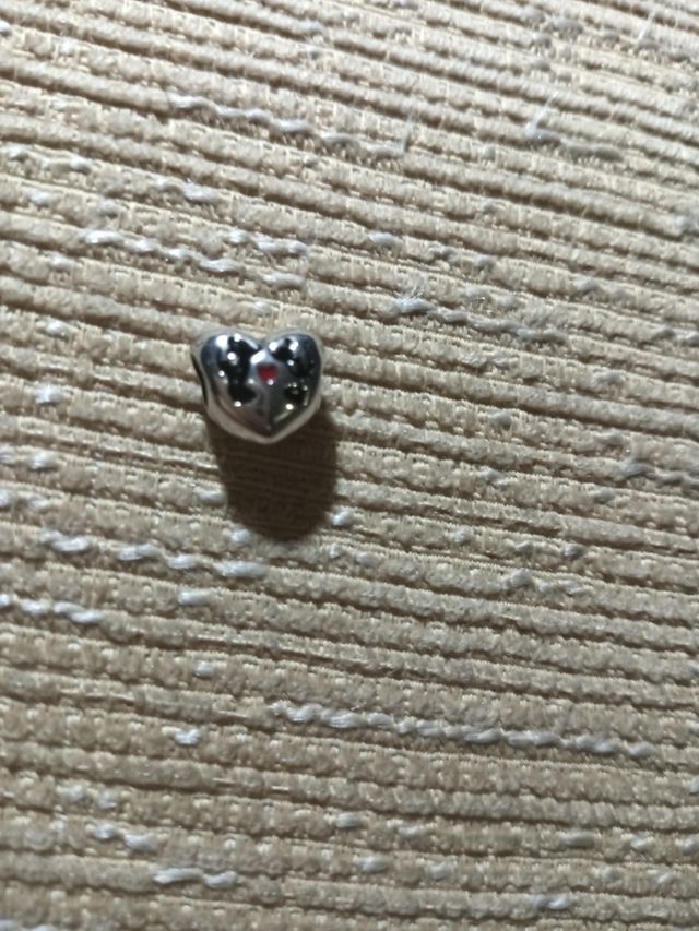 Charm Mickey y Minnie