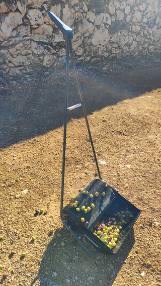 RECOLECTORA DE ACEITUNAS MANUAL DE SUELO 35CM