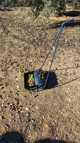 RECOLECTORA DE ACEITUNAS MANUAL DE SUELO 35CM