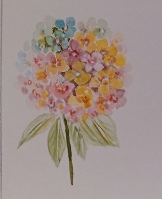 6 acuarelas originales. Arte. Regalos.