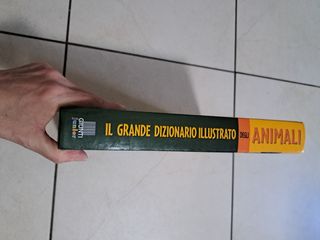 Il Grande Dizionario Illustrato Degli Animali