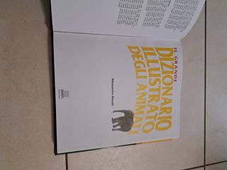 Il Grande Dizionario Illustrato Degli Animali