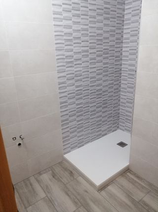 Reforma paleta albañil