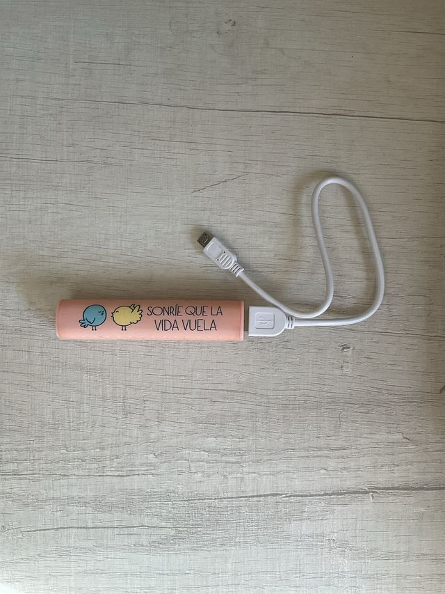 Cargador portátil Mr Wonderful