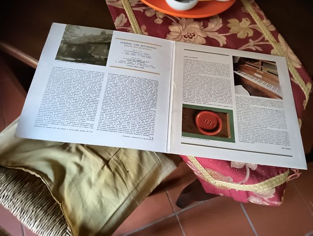 25 LP. 33 giri musica classica