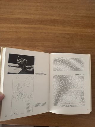 Enciclopedia