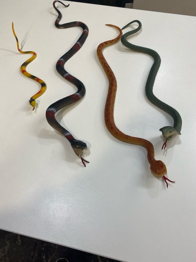 Serpientes de juguete