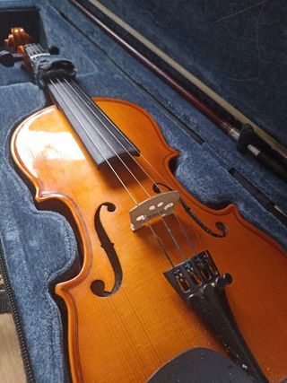 Violín Valencia