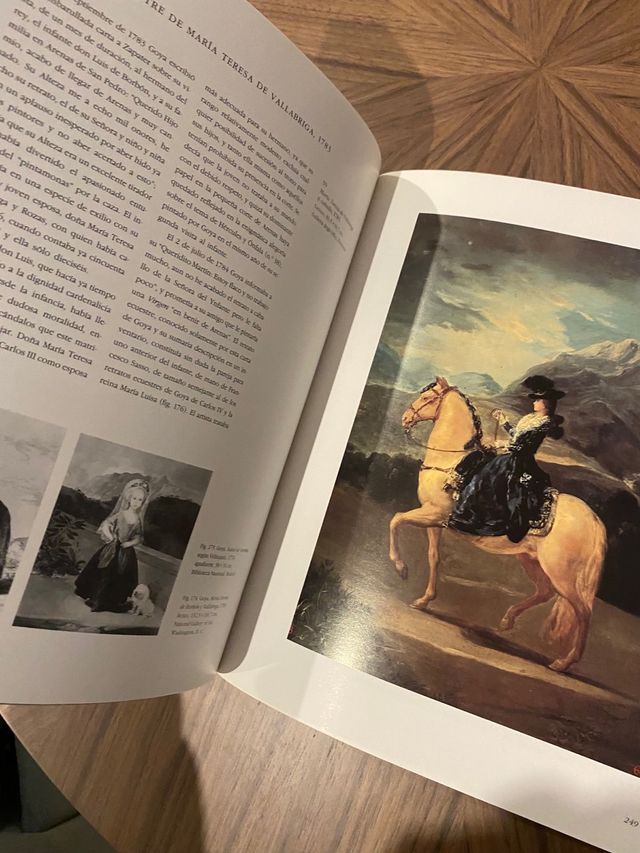 Goya: El capricho y la invencion