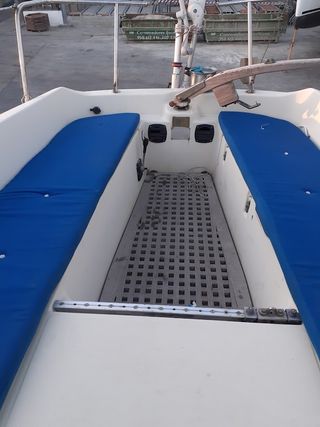 VELERO MAXI FENIX PELLE PETERSON