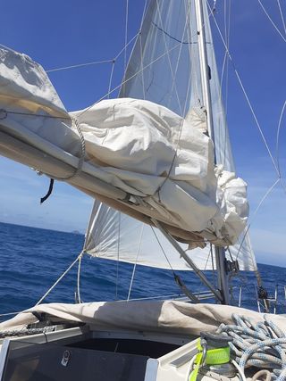VELERO MAXI FENIX PELLE PETERSON