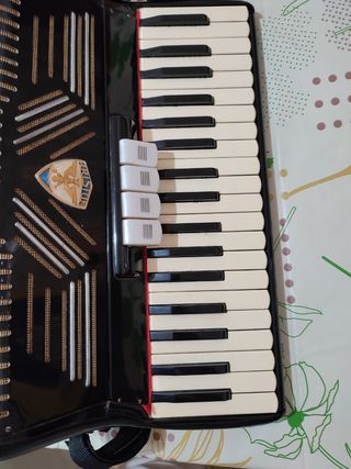 Fisarmonica 80 bassi ariston