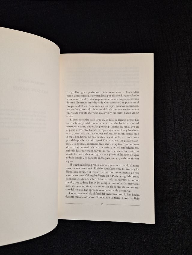 Richard Powers. El eco de la memoria