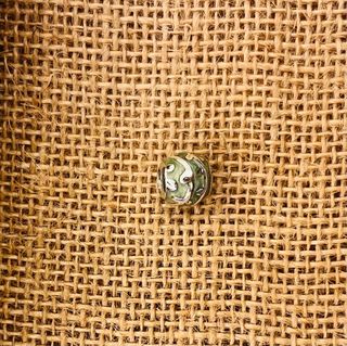 Charm Pandora