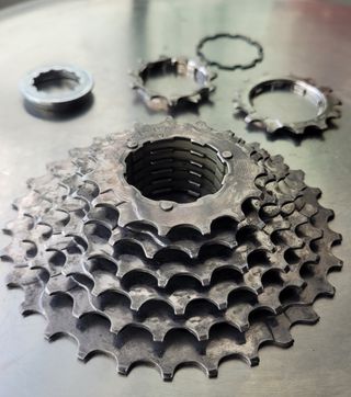 Piñones mtb shimano 8v