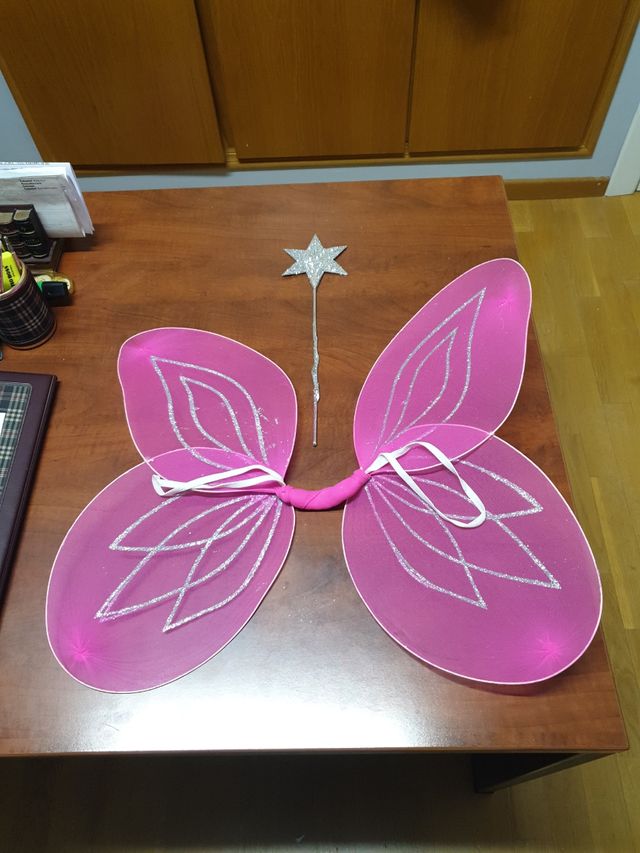 Alas de mariposa disfraz