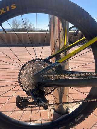 Mondraker F-Podium R