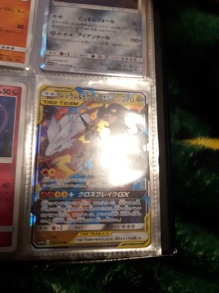 reshiram e zekrom giapponese carta