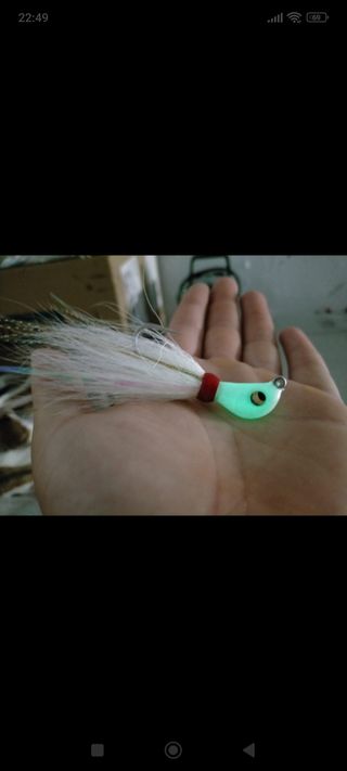 Bucktails JSN