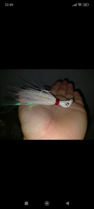 Bucktails JSN