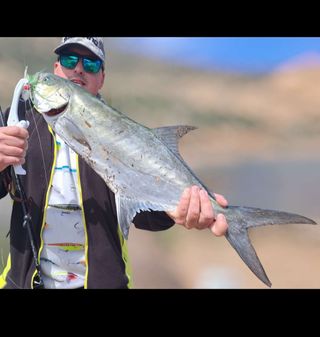 Bucktails JSN