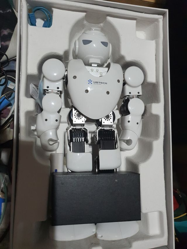 Robot ubtech