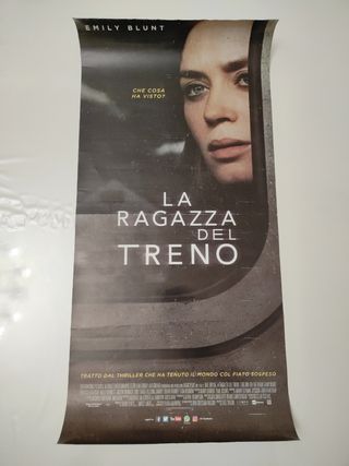 Locandina La ragazza del treno