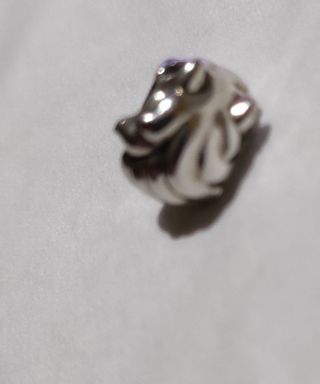 Charm de plata..
