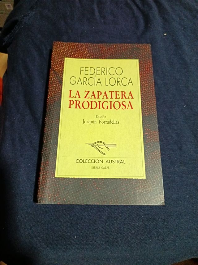 La Zapatera Prodigiosa