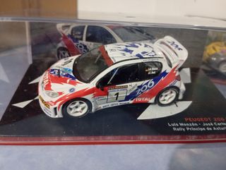 206 wrc Luis Monzón 